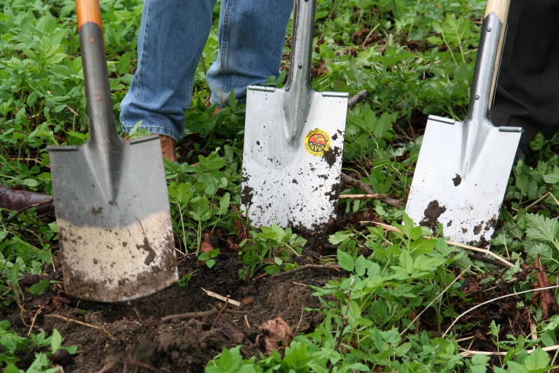 pepiniere-TOUDON-min_work-lawn-flower-tool-green-backyard-1103633-pxhere.com